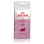 Royal Canin Queen (Mammy) 法國皇家 哺乳貓糧 配方 10kg (義工/貓場專用) (訂貨需時1-3工作天)